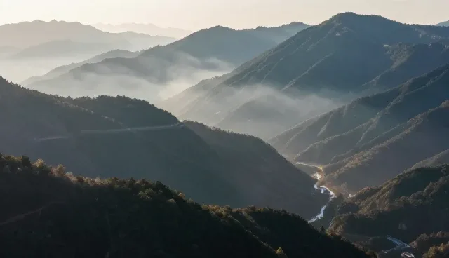 名录选型中数据准确性对结果的影响原因